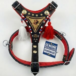 The Sultan’s Guard: Indestructible Buffalo Leather Dog Collar