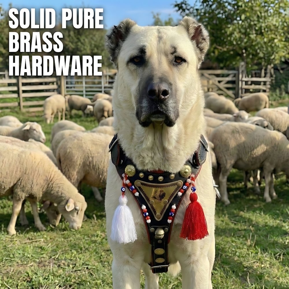 4_upscayl_1x_upscayl-lite-4x The Sultan’s Guard: Indestructible Buffalo Leather Dog Collar - Görsel 5